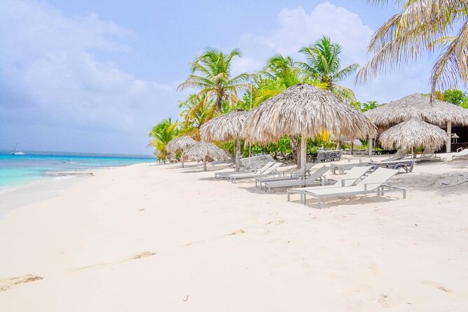 Catalina Island Snorkeling Tour Full Day in Punta Cana - Key Points