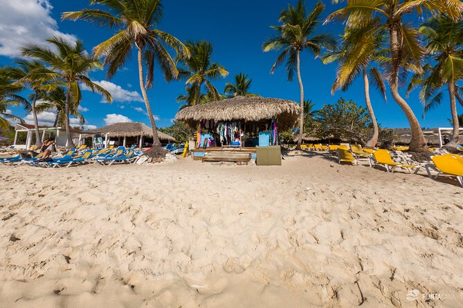 Catalina Island Tour - the Best Snorkelling Experience - Catalina Island Highlights