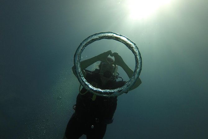 Catalina Island With Scuba Diving - Full Day Tour - Tour Overview