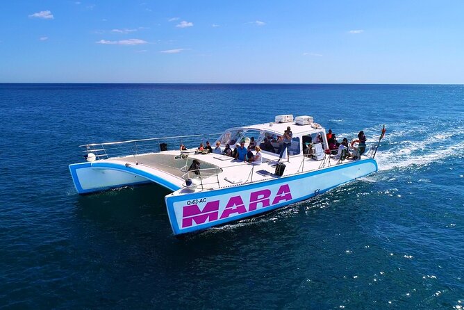 Catamaran BBQ on the Beach: Cruise to Benagil Caves - Onboard Amenities