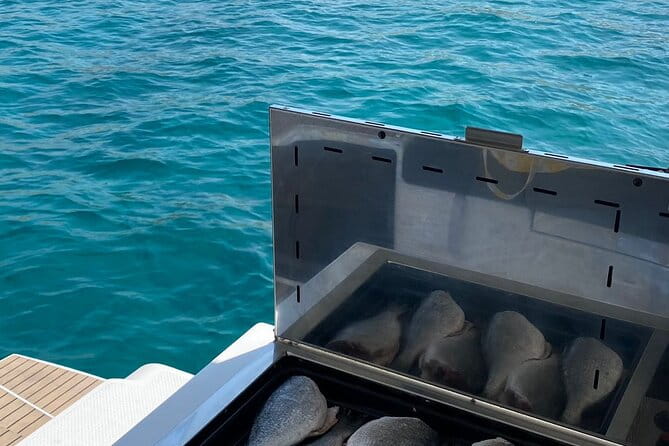 Catamaran cruise in the Frioul Archipelago in Marseille - Who Will Love This Trip?