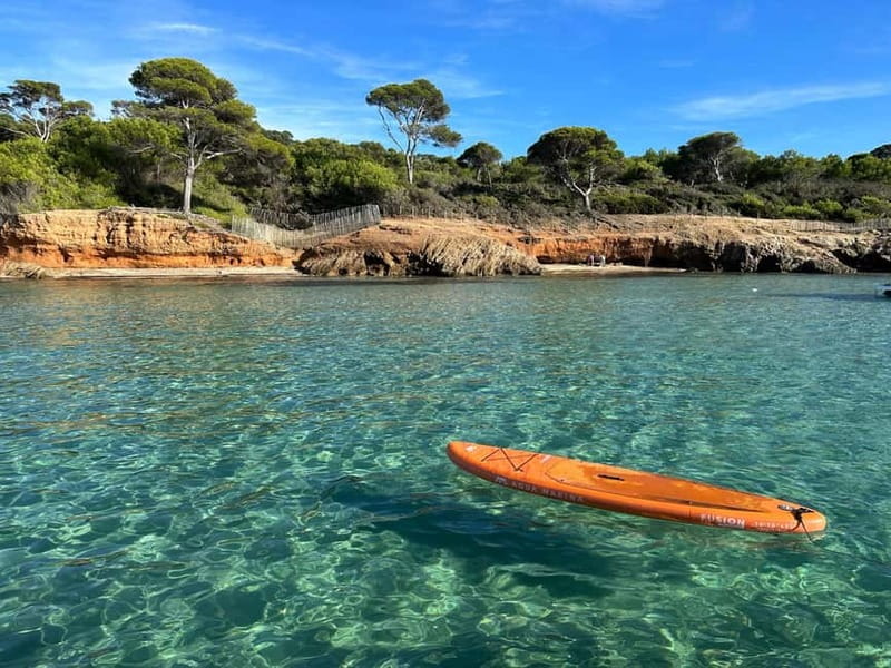 Catamaran day trip to the Giens Peninsula and Porquerolles Island - Setting Sail from Le Niel: Starting Your Adventure