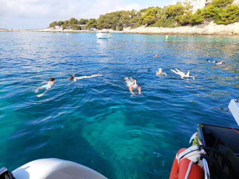CATAMARAN ECO EXPERIENCE at Palma Bay - Who Is This Tour Perfect For?