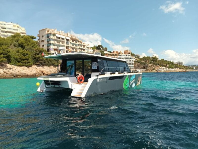 CATAMARAN ECO EXPERIENCE at Palma Bay - Final Thoughts: Who Should Book This?