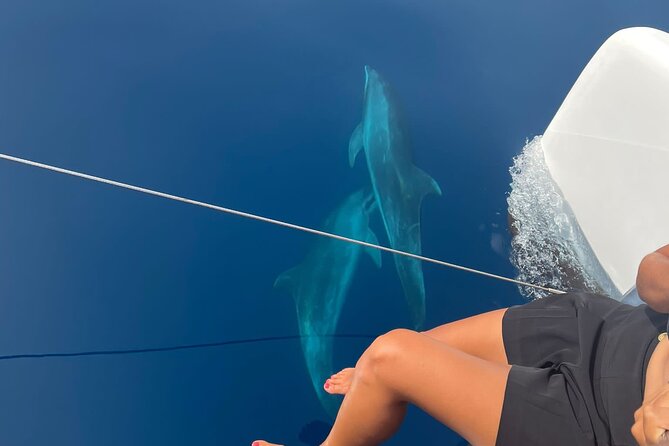 Catamaran Half Day - Beautiful Day on the Atlantic Ocean - Meeting and Pickup Details