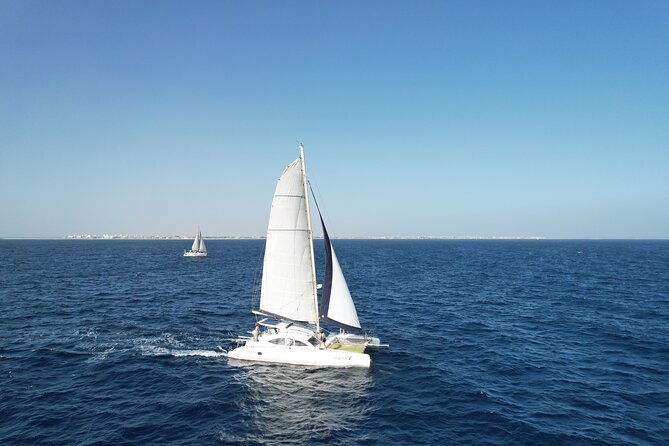 Catamaran Half Day - Beautiful Day on the Atlantic Ocean - Group Size and Accessibility