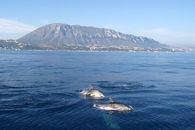 Catamaran ride with aperitif and white wine from Denia - Key Points