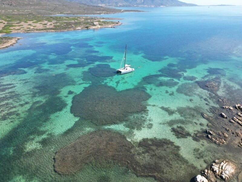 Catamaran tour Asinara island national park Buriana Charter - A Fresh Perspective on the Sardinian Sea: The Asinara Island Catamaran Tour