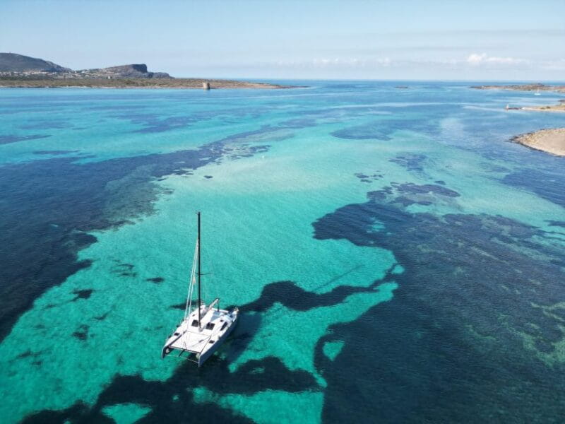 Catamaran tour Asinara island national park Buriana Charter - Key Points / Takeaways