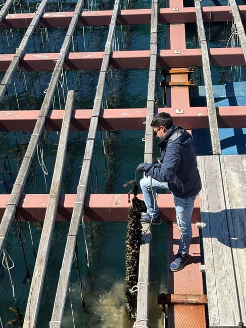 Catamaran trip and visit to the mussel nurseries with a snack - Exploring the Valencia Catamaran and Mussel Experience in Detail