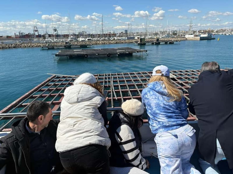 Catamaran trip and visit to the mussel nurseries with a snack - Price and Logistics: Is It Worth It?