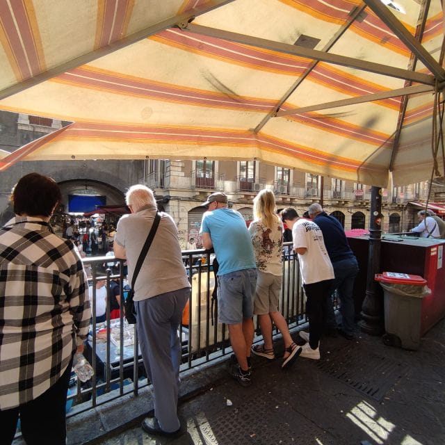 Catania City Highlights Walking Tour - English or French - - Who Will Love This Tour