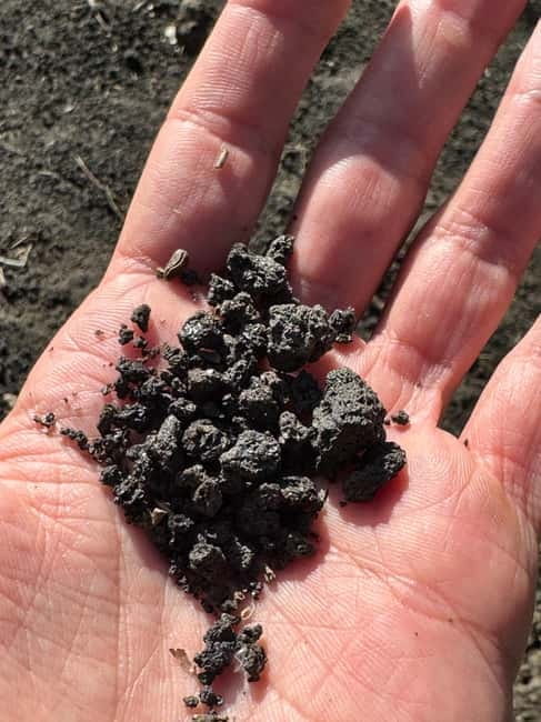 Catania: Etna 2000 m & Alcantara Gorges Hiking Tour, Pick-up - Who Will Love This Tour?