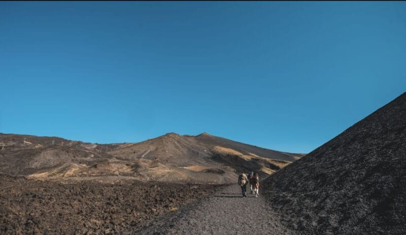Catania: Etna Morning Excursion with Tasting and Pickup - Introduction: A Guided Journey to Sicily’s Volcano