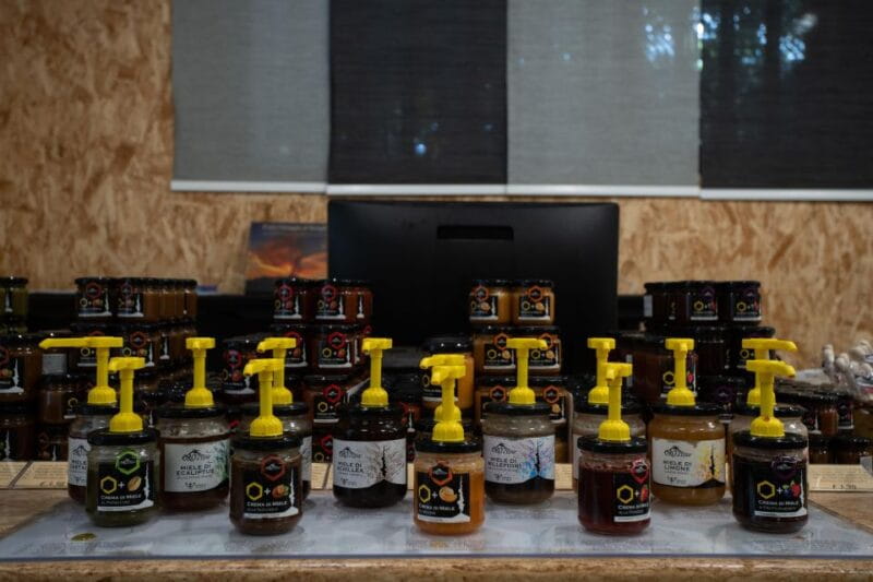 Catania: Etna Morning Excursion with Tasting and Pickup - Key points / Takeaways