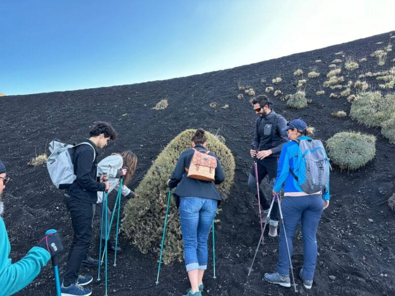 Catania: Etna Morning or Sunset Trek with Lava Tunnel & Gear - Final Words: A Genuine, Scenic Adventure for the Curious