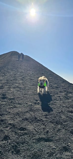 Catania: Etna Tour in the Morning - Frequently Asked Questions