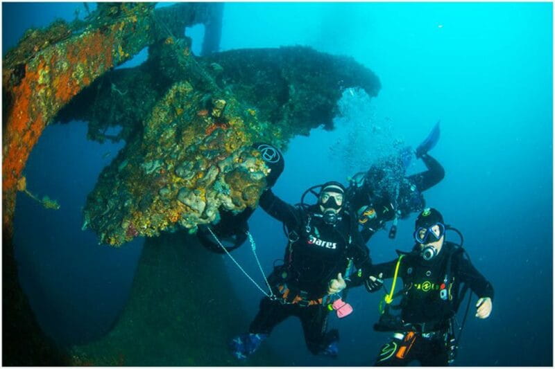 Catania: Gulf Scuba Diving Tour with Marine Biologist - What to Expect During Your Dive