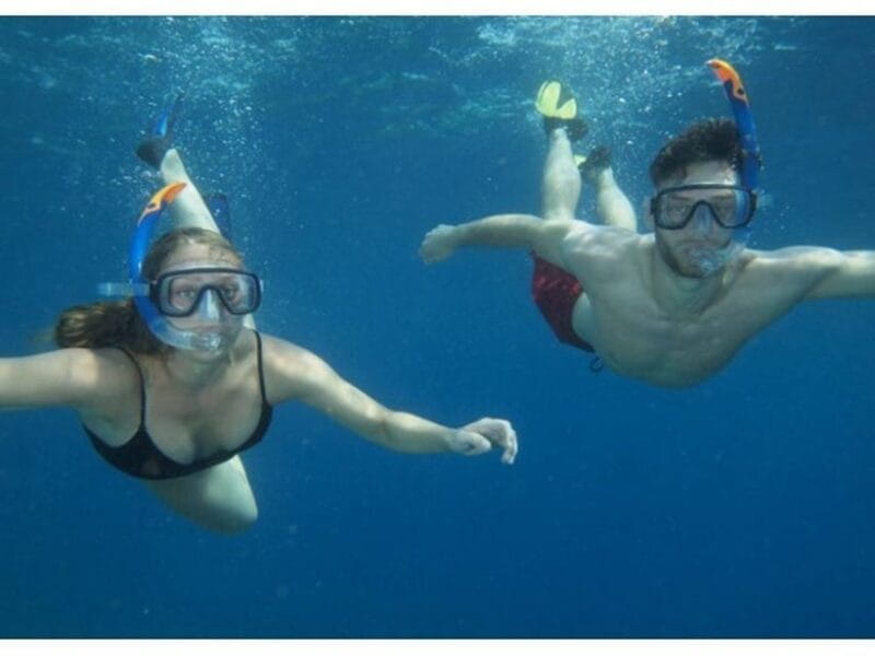 Catania, Isole Ciclopi: Snorkeling Trip - The Underwater Landscape: Lava and Life