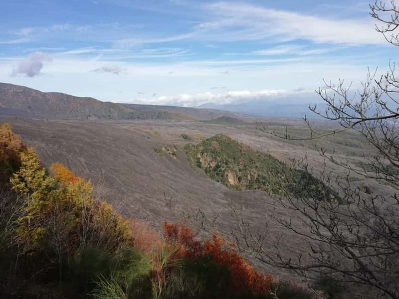 Catania: Mount Etna and Alcantara River Guided Tour - Practical Details: How the Day Unfolds
