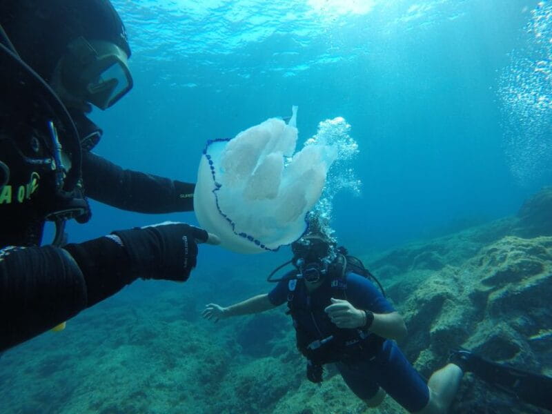 Catania: Mount Etna & Cyclopean Scuba Diving Experience - Who Should Consider This Tour?