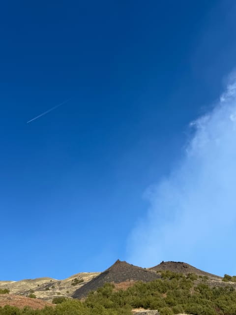 Catania: Mount Etna Morning Jeep/Van Tour - Climbing to 2,000 Meters: A Scenic and Educational Drive