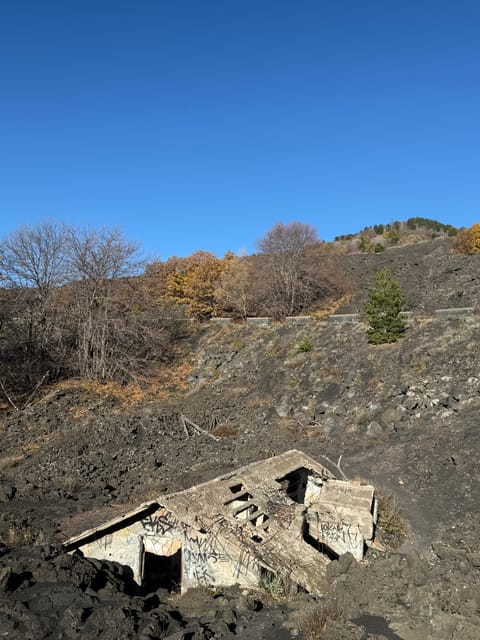 Catania: Mount Etna Morning Jeep/Van Tour - Tasting Local Flavors at Zafferana Etnea