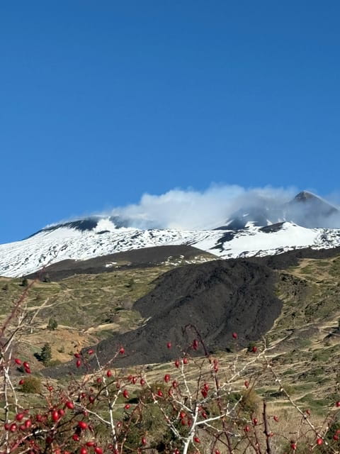 Catania: Mount Etna Morning Jeep/Van Tour - The Return Journey: Scenic Drives and Relaxed Endings