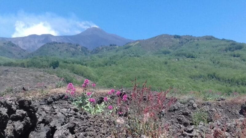 Catania: Mount Etna Sunset Tour and Etna Doc Wine - Key points / Takeaways