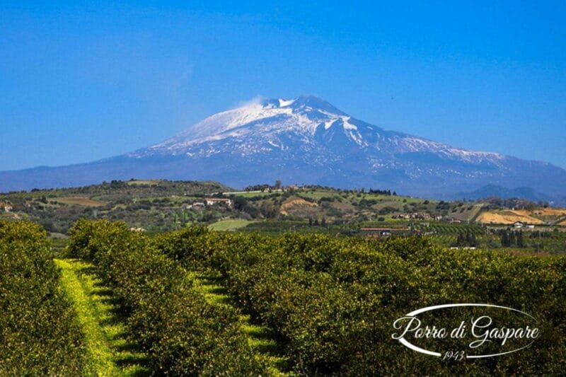 Catania: Pozzo di Gaspare Farm Guided Tour with Tastings - Why this farm tour stands out in Sicily