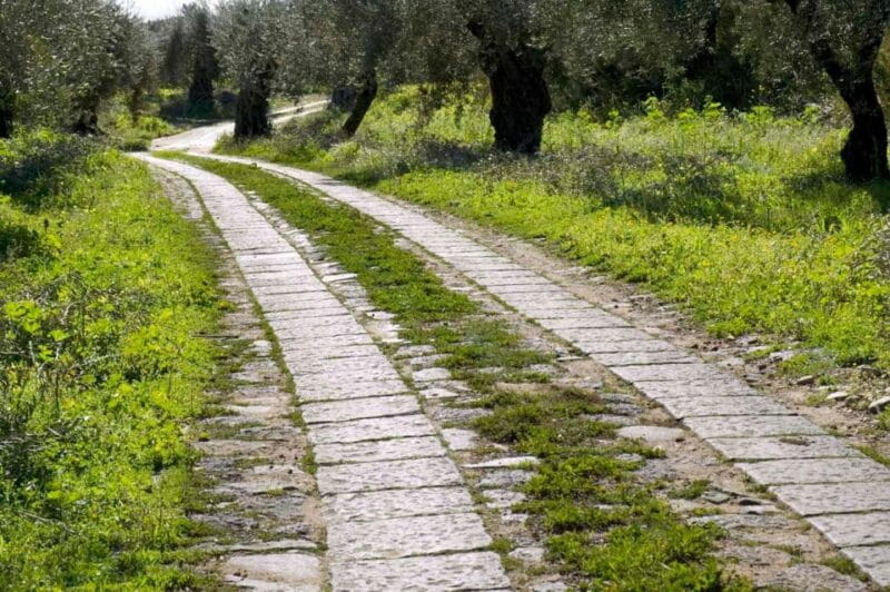 Catania: Pozzo di Gaspare Farm Guided Tour with Tastings - Who Will Love This Experience?