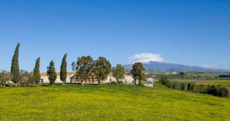Catania: Pozzo di Gaspare Farm Guided Tour with Tastings - Price and Value Analysis