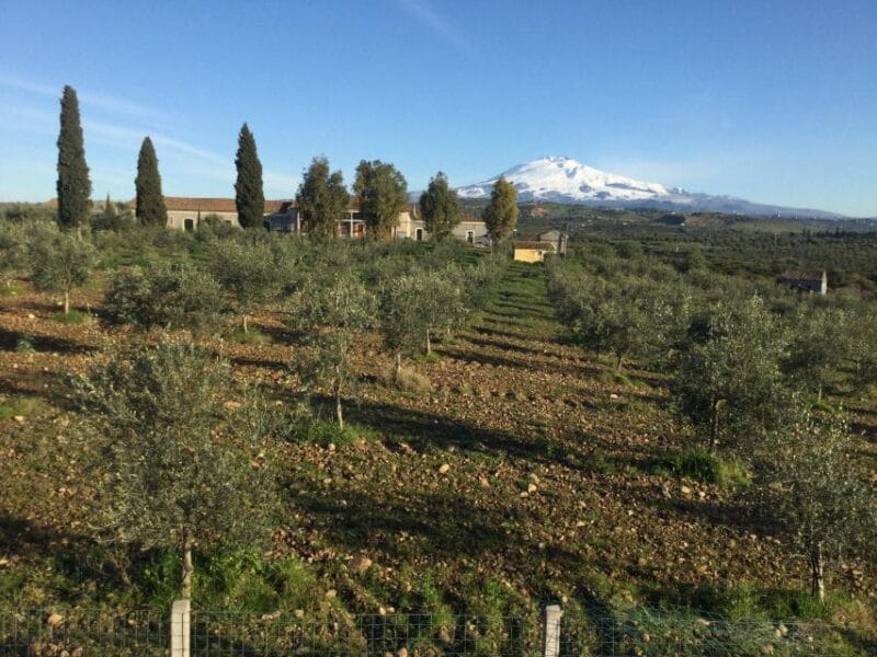Catania: Pozzo di Gaspare Farm Guided Tour with Tastings - The Sum Up