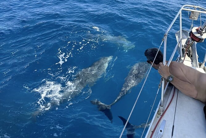 Catania: Sail Cyclops Coast by Boat and Enjoy a Sicilian Aperitif - Frequently Asked Questions