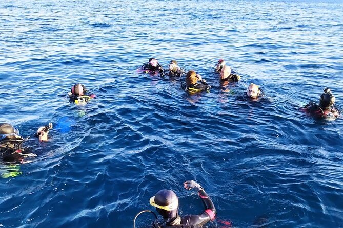 Catania: Scuba Diving Experience - Booking and Cancellation