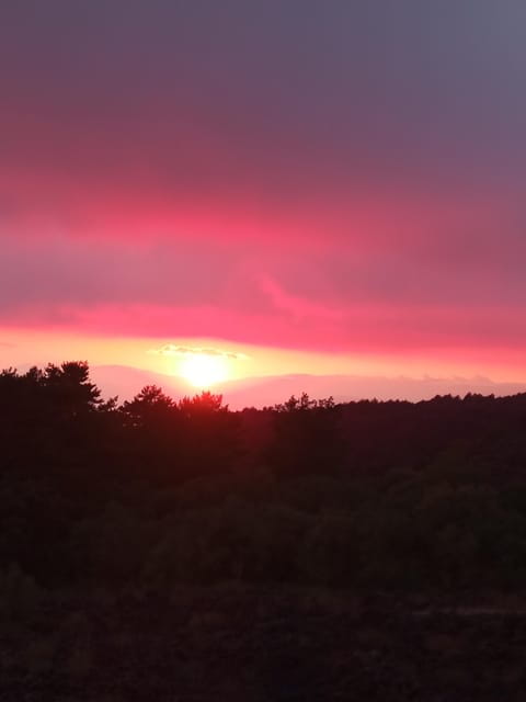 Catania: Sunset Trekking on Mount Etna with Wine Tasting - FAQ