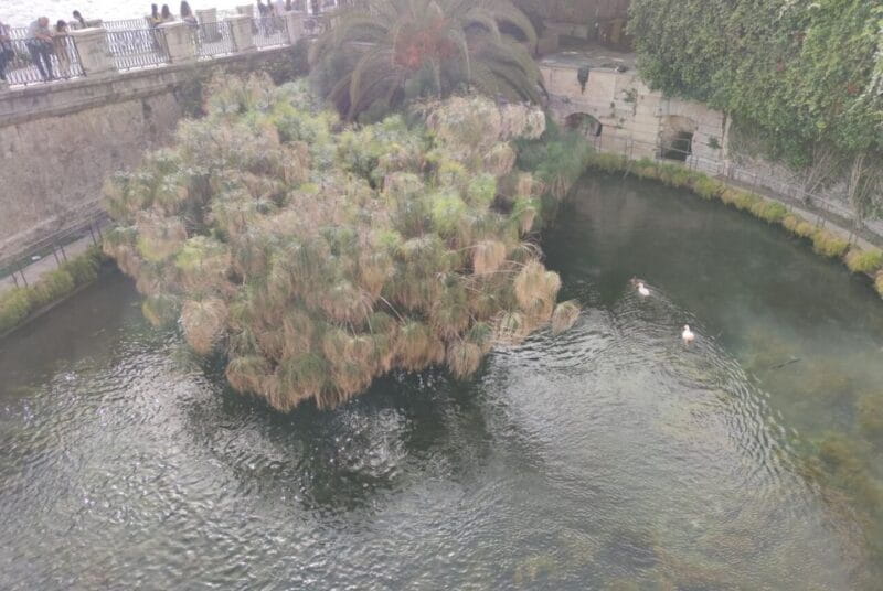 Catania: Syracuse, Ortigia, and Noto Guided Tour - Practicalities and Logistics