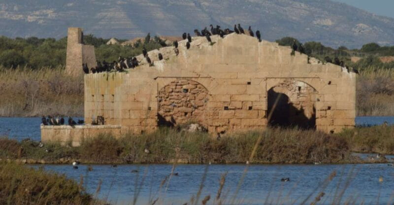 Catania: Vendicari, Marzamemi and Noto Day Trip - Key Points and Takeaways