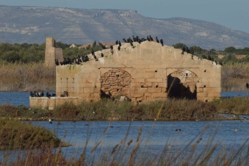 Catania: Vendicari, Marzamemi and Noto Day Trip - Who Would Love This Tour?