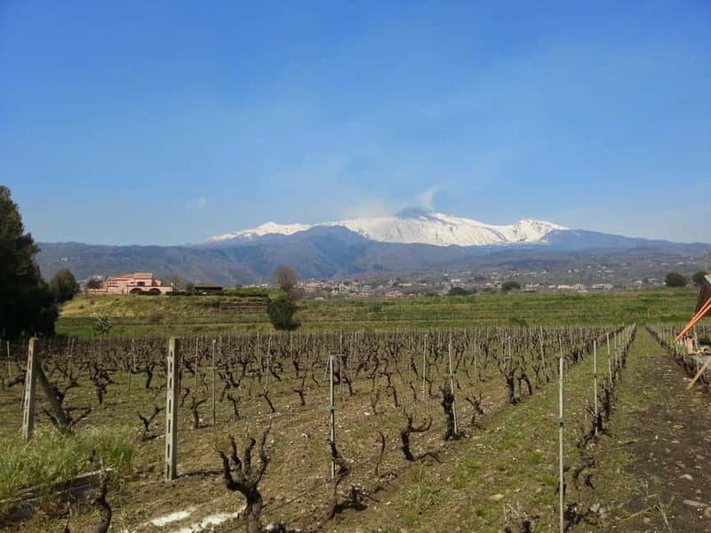 Catania : Wine and Lunch Tour - Practical Tips for Travelers