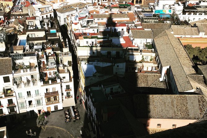 Cathedral and Royal Alcázar in Spanish - Accessibility and Transportation Details