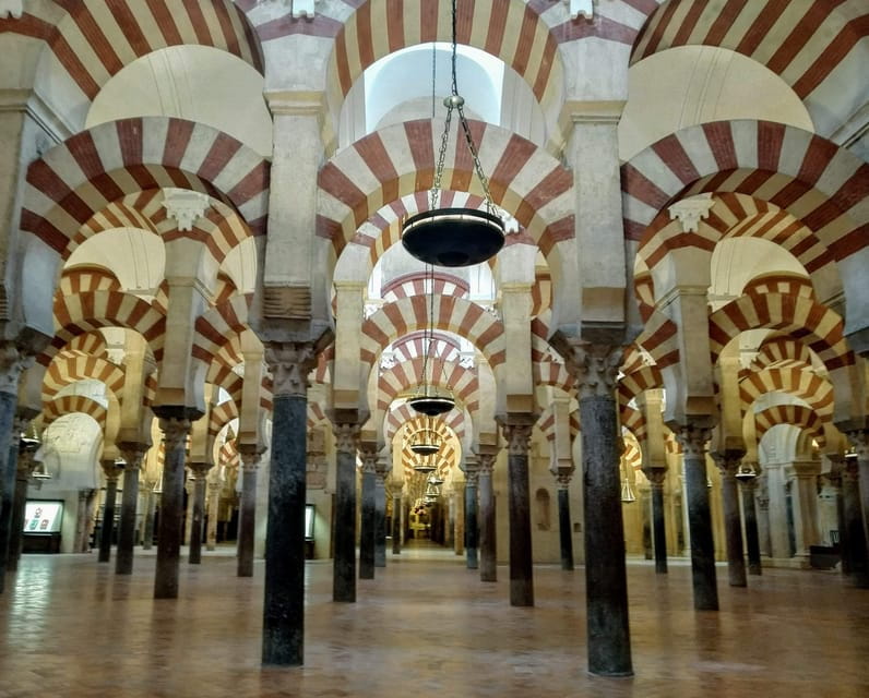 Cathedral Mosque Guided Tour in a Small Group in French - Customer Feedback