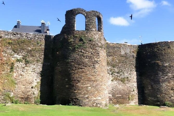 Cathedrals Beach and Lugo Tour from A Coruña - Price, Logistics, and Who Will Love This Tour