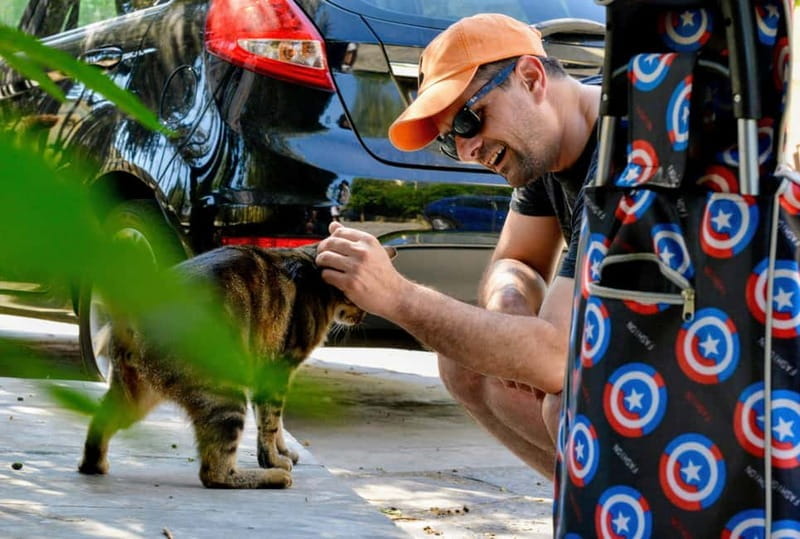 Cats of Athens - Walking Tour - Key Points/Takeaways