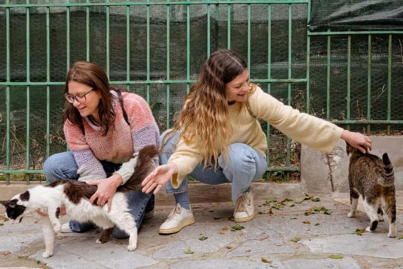 Cats of Athens - Walking Tour - Discover Athens’ Feline Side in Thissio