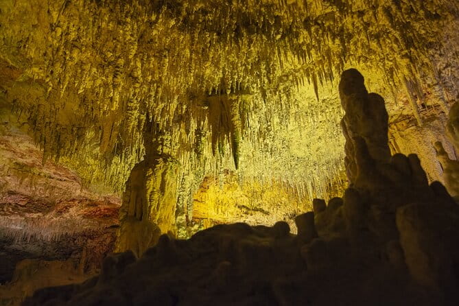 Caves Drach Boat Trip from Alcudia with Return Bus and Tickets - Exploring the Caves Drach Experience in Depth