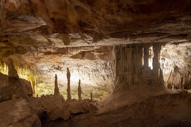 Caves Drach Boat Trip from Alcudia with Return Bus and Tickets - FAQ