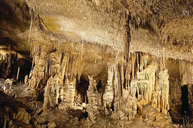 Caves Drach Tour & Return Transfer from Cala Dor-Calas Mallorca - The Ultimate Guide to the Caves Drach Tour & Return Transfer from Cala Dor-Calas Mallorca