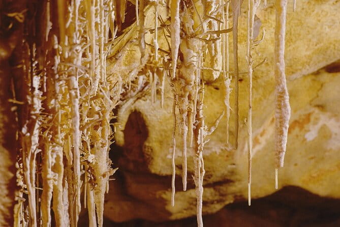 Caves Drach Tour & Return Transfer from Cala Dor-Calas Mallorca - Free Time and Additional Attractions