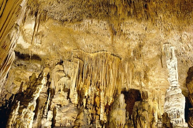 Caves Drach Tour & Return Transfer from Cala Dor-Calas Mallorca - Logistics, Duration, and Who It’s Best For